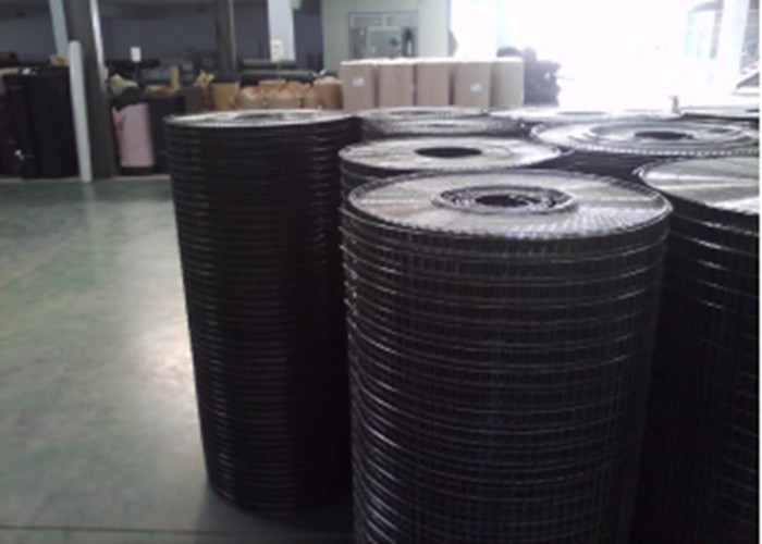 1``X1`` Welded wire mesh steel welded wire mesh stainless steel welded wire mesh