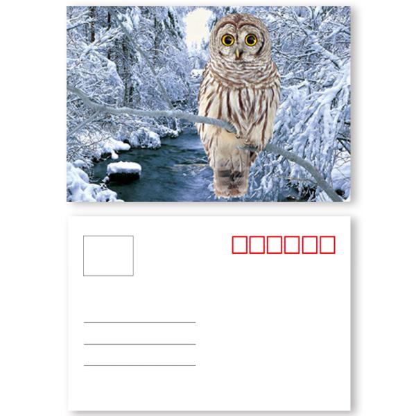 Buy cheap Custom Restaurant Animation 0.35mm 3D Lenticular Card from wholesalers