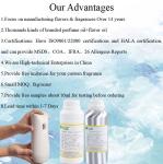 Luxury Mint Scent Home Car Fragrance Oil For Perfume Branded Air Freshener