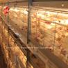 Buy cheap Automatic Poultry Egg Chicken Battery Laying Cage A Type Rose from wholesalers