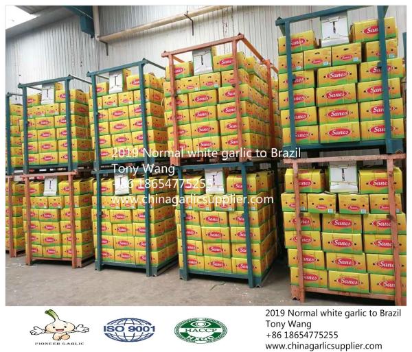 Buy cheap Garlic to Brazil from wholesalers