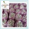 Buy cheap china purple garlic white natural garlic with low price pure white garlic from wholesalers