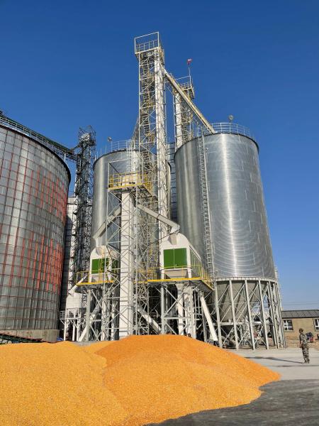 100-1000 T/D Handling Capacity Corn Dryer Machine Industrial-Grade Durability