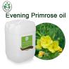 Buy cheap Cas 65546-85-2 Massage Essential OIls Evening Primrose Oil Rheumatoid Arthritis Treatment from wholesalers
