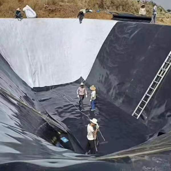 HDPE Geomembrane Waterproof GB/ASTM GRI-GM13 for Excellent Stress Cracking Resistance