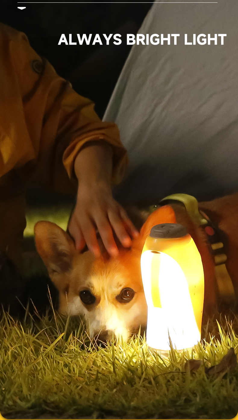 Yellow 220V-240V Dog Drink Bottle PP Light Water Bottle For Travel