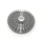 Aluminium Alloy 6063 T5 Extruded Radiator Mould Supplier
