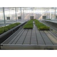 Buy cheap Transparent Commercial Glass Greenhouse Good Light Transmission With Insulating product