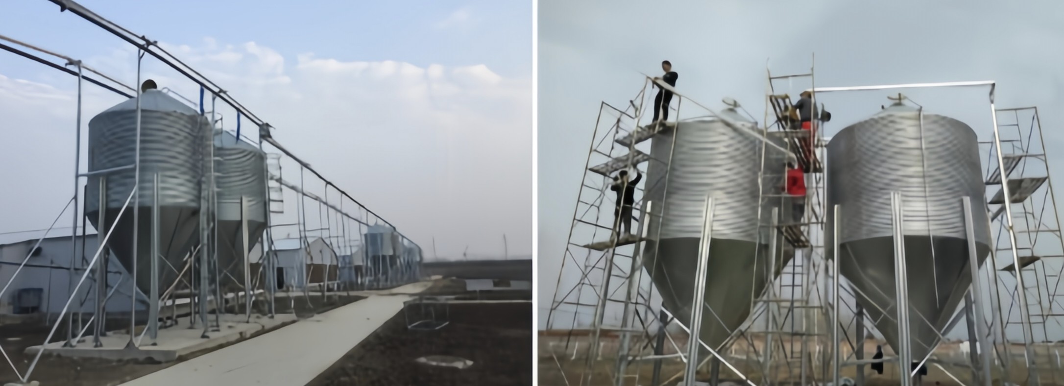 Steel Farm Chicken Feed Silo , Automatic Poultry Feed Silo 3T-34T