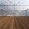 Buy cheap 4.0-8.0M Height Agricultural Multi Span Film Greenhouse with Super Strong Resistance from wholesalers
