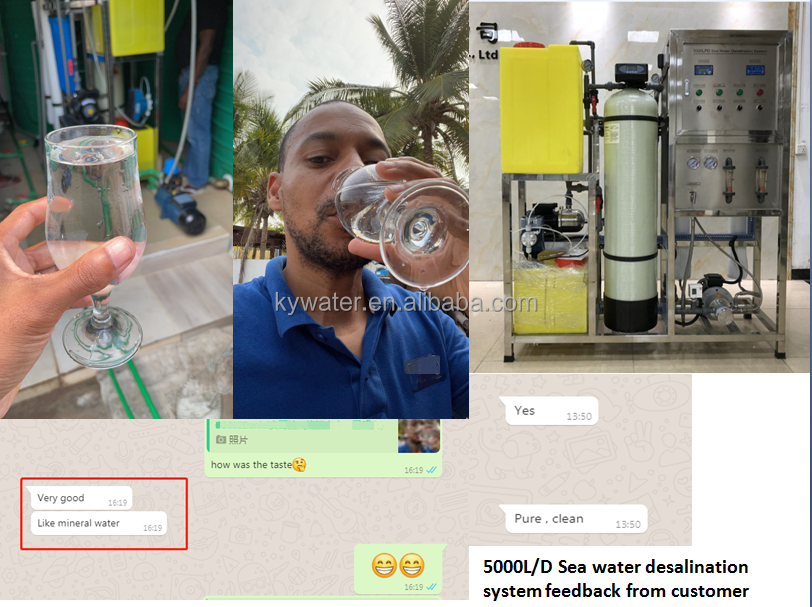 Mobile Sea Water Purification Plant Desalination RO Treatment machine