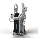 Weight Loss Double Cryotherapy Fat Freeze Pdt Cryoshape Fat Freezing Machine