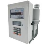 Buy cheap IP67 Anti Tamper Prepaid Gas Meter , 1.6m3/H Portable Gas Flow Meter from wholesalers