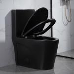 Siphonic One Piece Elongated Dual Flush Toilet Skirted Trapway 300mm Rough In