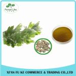 Chinese Herb Extract Mugwort Leaf Extract 5:1- 20:1