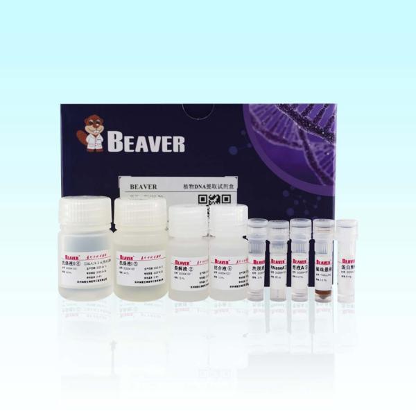 Buy cheap BeaverBeads Plant DNA Kit For Fast And Efficient Extraction In Scientific Research from wholesalers