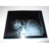 Buy cheap Konida Low Fog Medical Dry Imaging Film For X Ray Examination from wholesalers