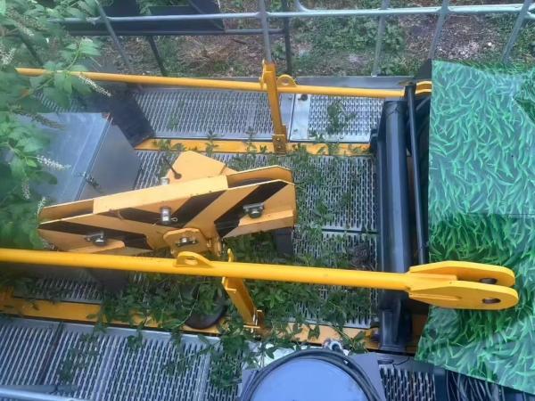 Buy cheap Zoomlion Tower Crane (6515-10) Commonly Used Machinery on Construction Sites in 2021 from wholesalers