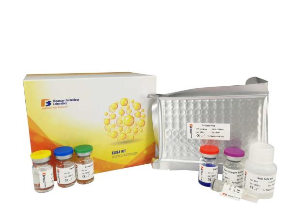 Buy cheap Retn Elisa Assay Kit 96 / 48 Wells , Strong Precision Sandwich Elisa Kit from wholesalers