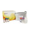 Buy cheap Retn Elisa Assay Kit 96 / 48 Wells , Strong Precision Sandwich Elisa Kit from wholesalers