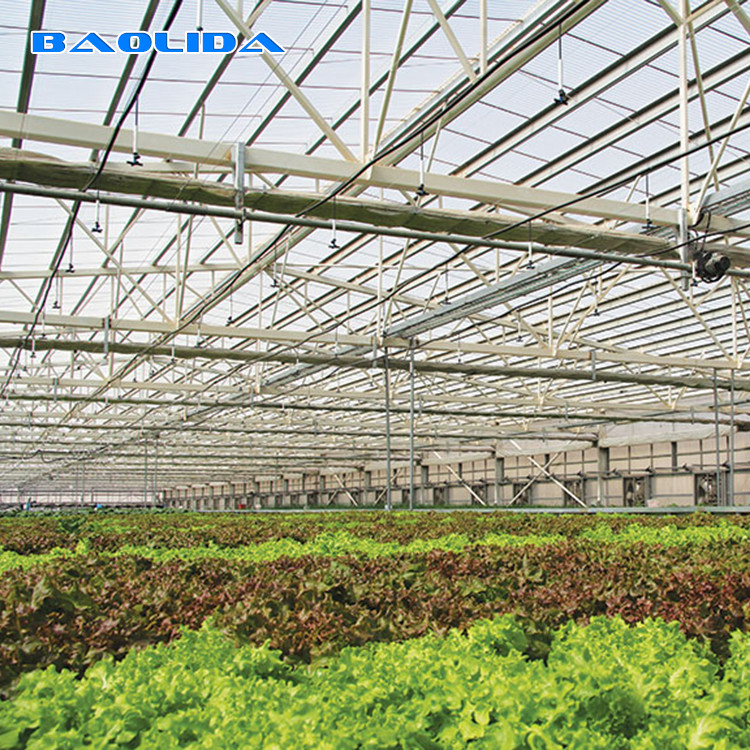 Beautiful Polycarbonate Sheet Greenhouse Plastic With Dome Roof Customized