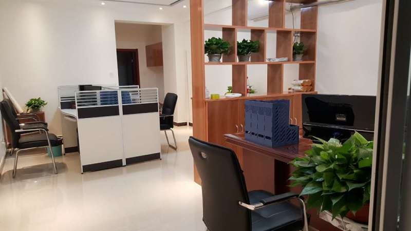 Customized Wooden Moulding Solid Wood Timber Paulownia Wood Board in Natural Color