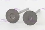 6151-42-4110 Diesel Engine Valve For KOMATSU S6D125-6