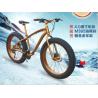 Buy cheap Gold 30 Speed 26x4.0 Inch Fat Wheel Mountain Bike from wholesalers