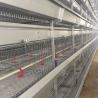 Buy cheap 4 Tier 195CM Brooder Cage For Chicks A Type Galvanized Q235 Steel Material from wholesalers