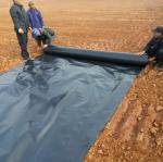 Customizable HDPE Geomembrane Liner 0.5mm 0.75mm 1mm for Total Project Solutions