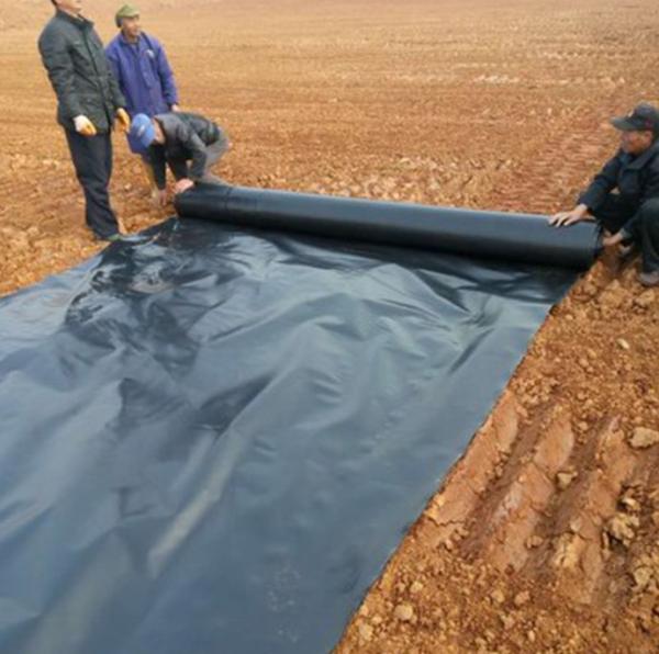 Buy cheap Customizable HDPE Geomembrane Liner 0.5mm 0.75mm 1mm for Total Project Solutions from wholesalers