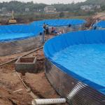 1m-10m Width HDPE Geomembrane 0.2-3mm Pond Liner for Fish Pond Swimming Pool