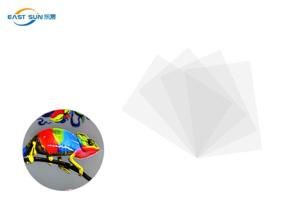 Buy cheap A3 A4 Sheet DTF PET Film Cold Peel 0.075mm For Digital Printing from wholesalers
