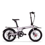 20 Inch Electric Folding Bike 250w 48v Hidden Seat Post Lithium Battery RICH BIT