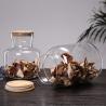 Buy cheap 3800ml Wide Mouth Blown Borosilicate Glass Storage Tank from wholesalers