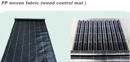 Transparent / Black / Silver / White color Plastic PE LDPE Agriculture Mulching Film,panda strawberry mulch film/black w