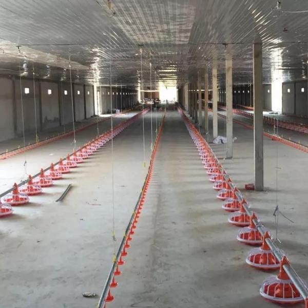 Buy cheap Galvanized Pipe Poultry Farming Machine Pan Feeding System Diameter 45mm from wholesalers
