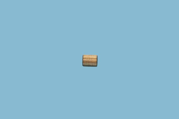 Quality Knurled Nut A Flexible Endoscope Parts Flexible Gastroscope Parts for sale