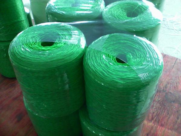 Quality Green Polypropylene Baling 5mm Plastic Twine Rope for sale