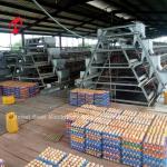 Buy cheap Turnkey Project Automatic Poultry Battery Cage System 3 Tiers 450cm2 Star from wholesalers