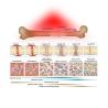 Buy cheap High Power 635nm 850nm LED Pulse Light Whole Body Red Light Irradiation Equipment Red Infrared Light Therapy Bed from wholesalers