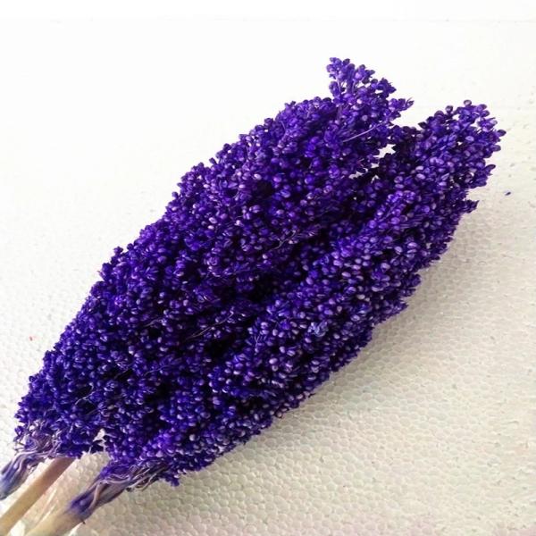 Buy cheap Factory Price Dry Flower Preserved Broomcorn Dry Sorghum For Decoration from wholesalers