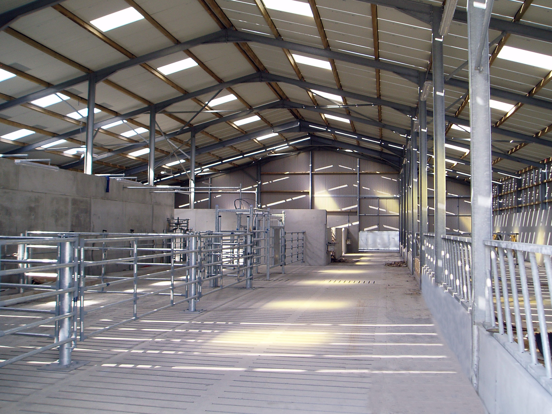 Roller Door Prefabricated Steel Structure Cow House for Poultry Shed Commercial Shed