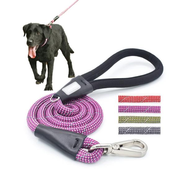 Buy cheap Purple Dog Walking Leash Colorful Pet Walk Running Nylon Slip Lead Double Rope from wholesalers