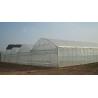 Buy cheap Sunshine Restaurant Commercial Greenhouse , Outdoor Plastic Greenhouse Hot Galvanized Skeleton from wholesalers