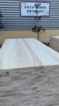 Modern Design Populus spp Poplar Wood Board for Furniture Moisture Content 8%-12