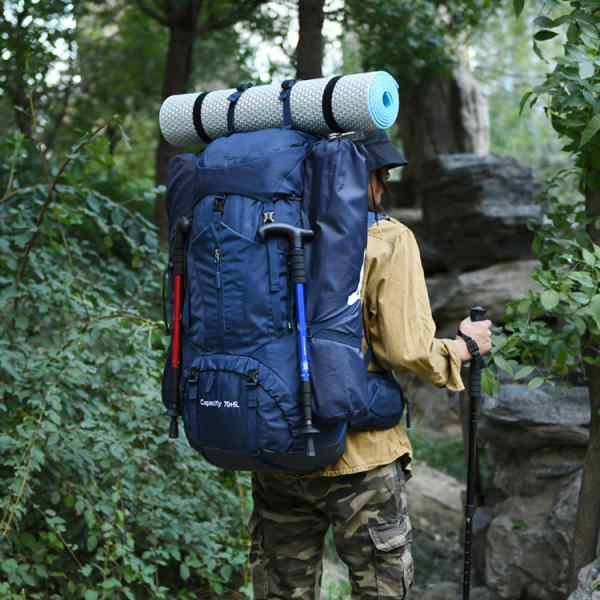 Quality Internal Frame Featherweight Walking Knapsack With Reflective Printing for sale