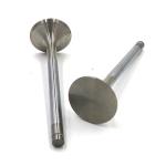 OEM 3924492 3921444 6CT Engine Intake Exhaust Valves For Cummins Standard Size