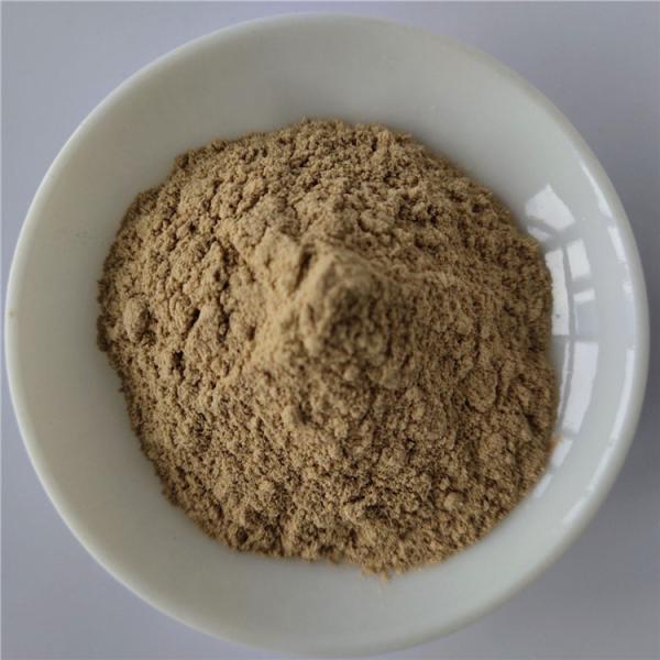 Buy cheap Glossy Privet Fruit Extract For Fatty Liver Care from wholesalers