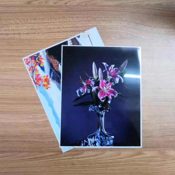 Buy cheap 24"X30m RC Photo Paper Roll from wholesalers